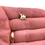 Elephant 2 Lapel Pin