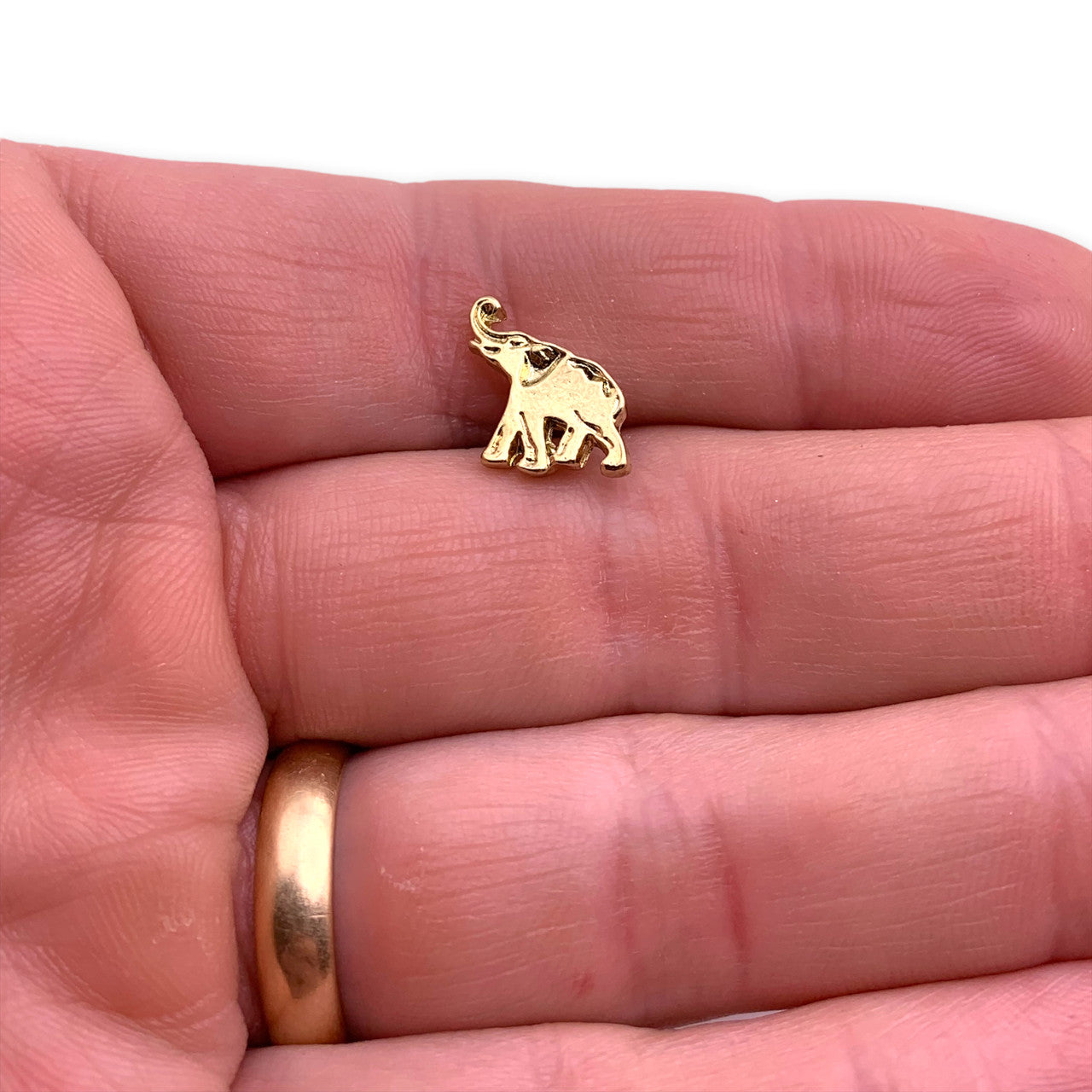 Elephant 2 Lapel Pin
