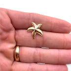 Golden Starfish Story Card & Lapel Pin