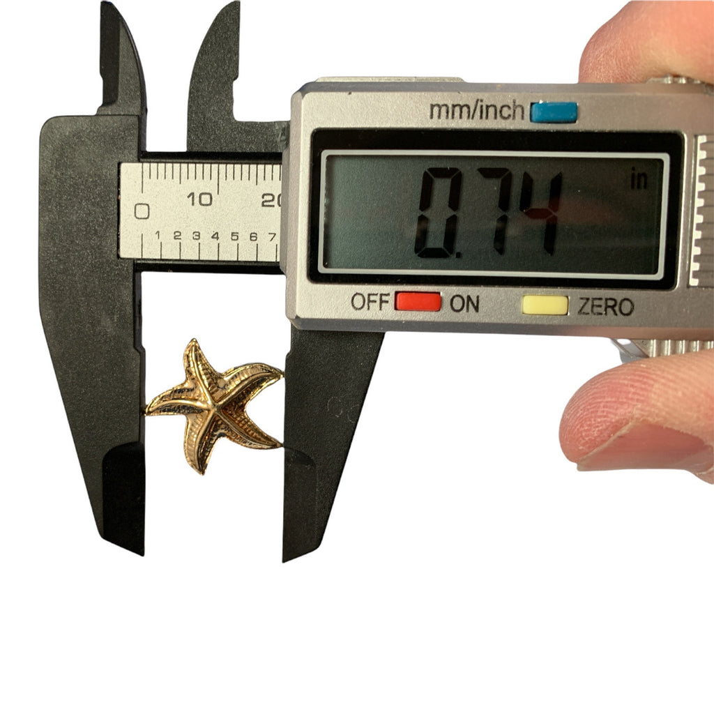 B11 Starfish 2 Lapel Pin