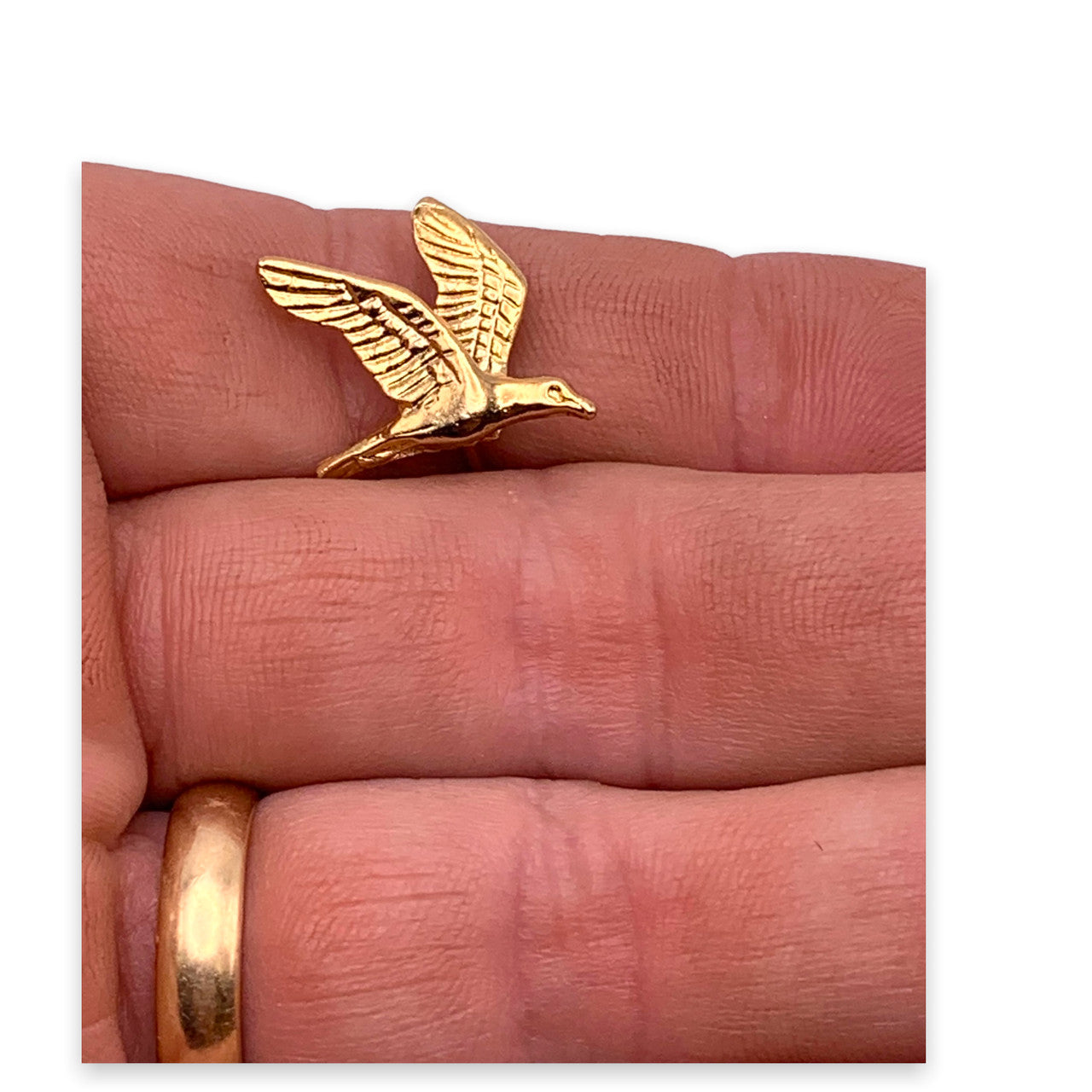 B12 - Bird 1 Lapel Pin