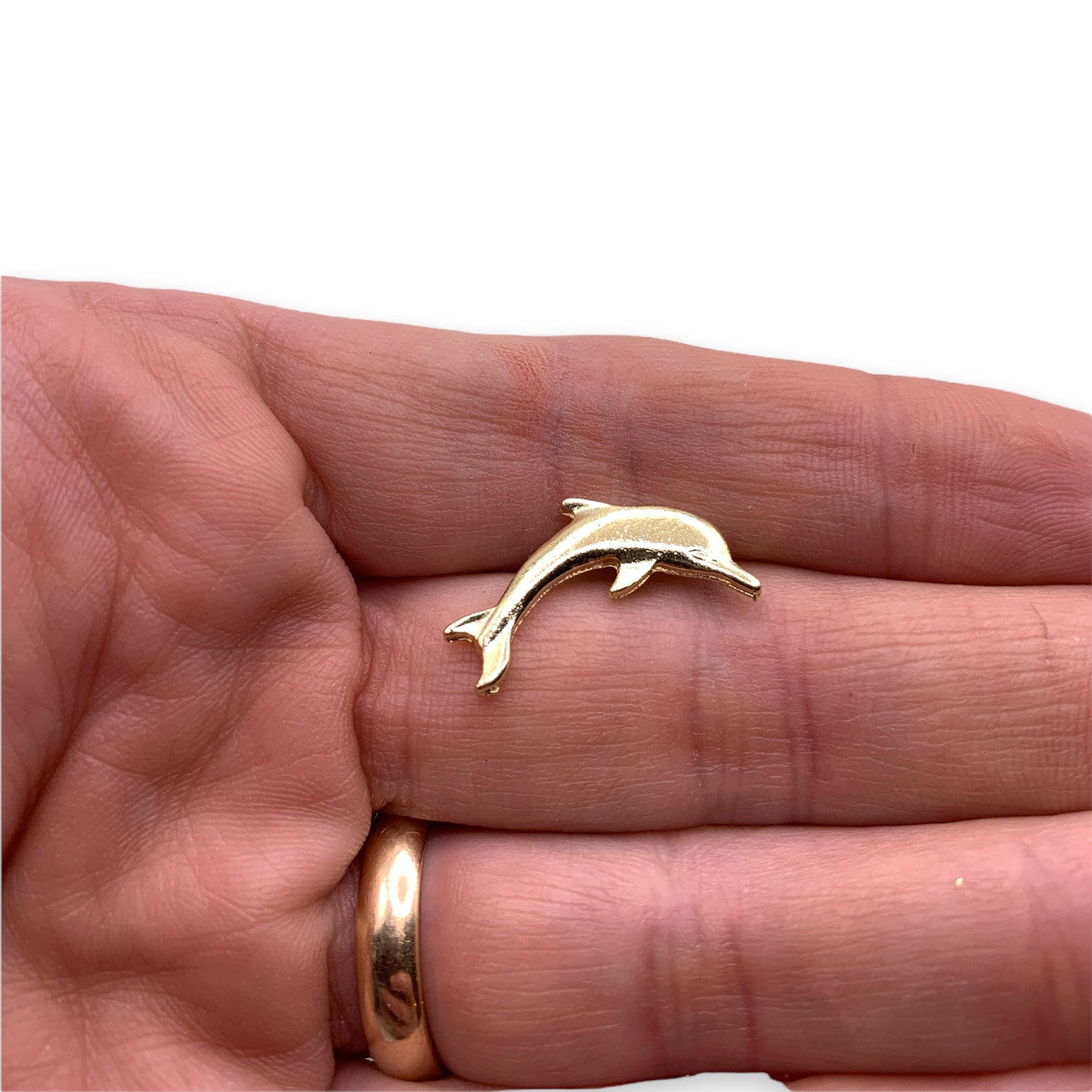 C11 - Dolphin Lapel Pin