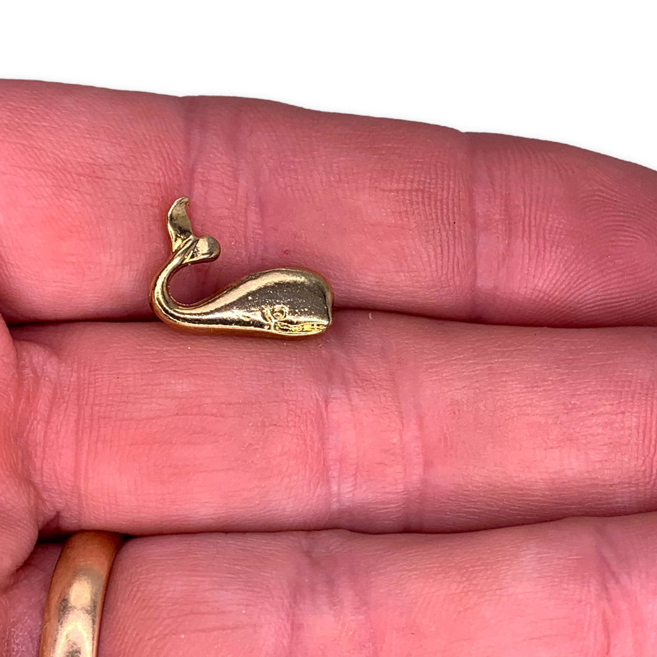 Whale 2 Lapel Pin