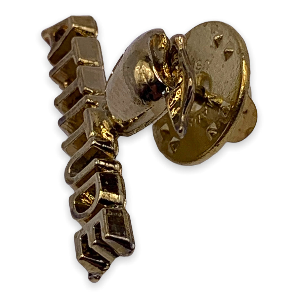 Attitude 2 Lapel Pin
