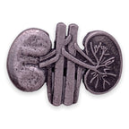 Human Kidneys Lapel Pin