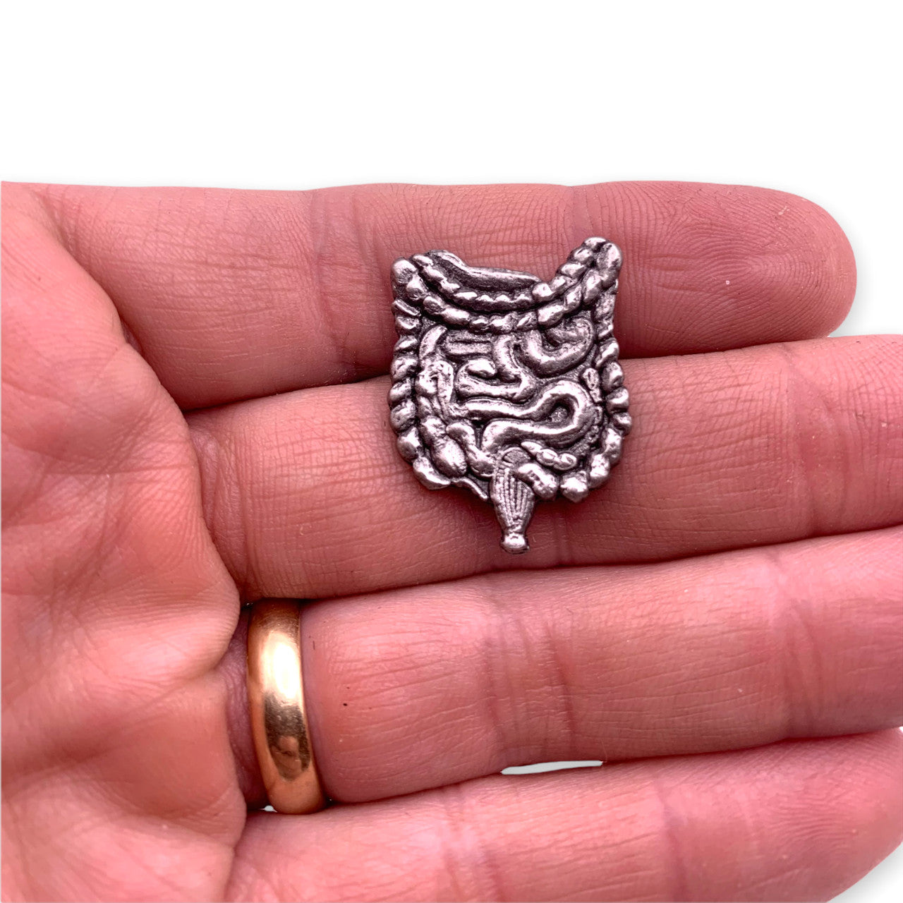 Human Intestines Lapel Pin
