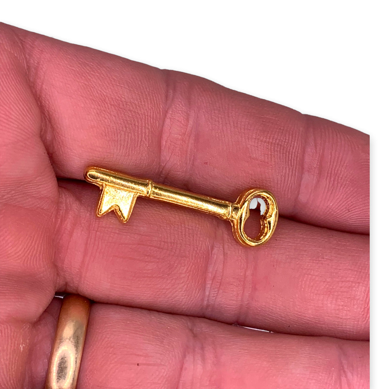 Skeleton Key Lapel Pin