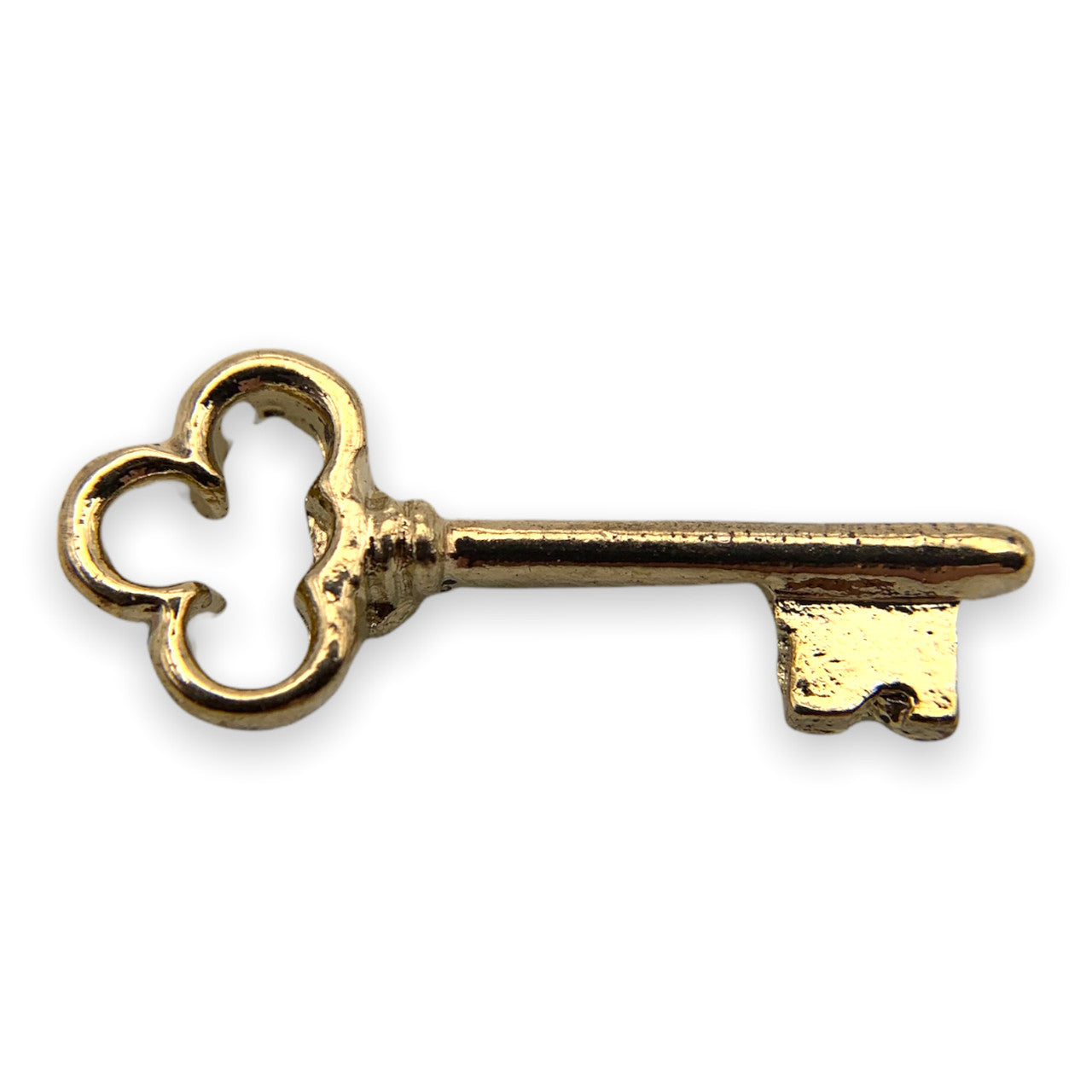 D02 Clover Head Skeleton Key Lapel Pin