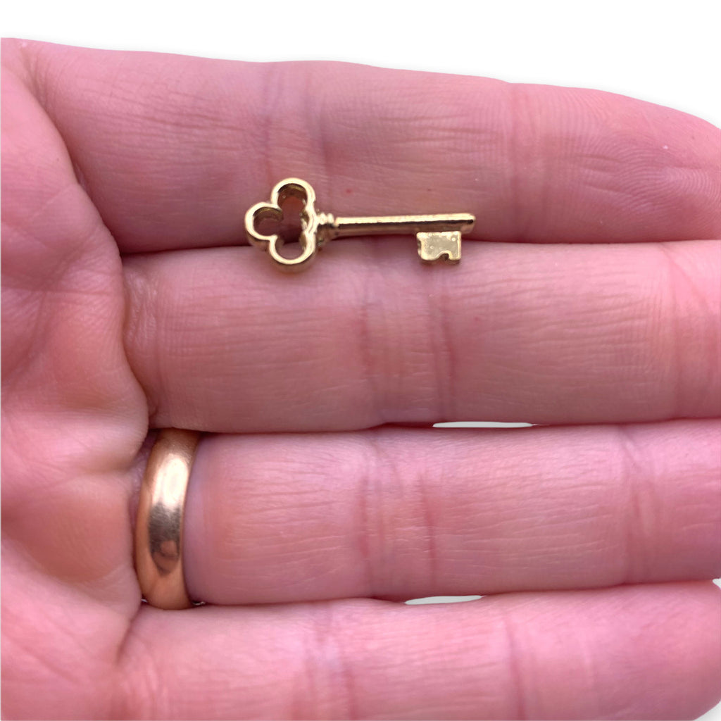 D02 Clover Head Skeleton Key Lapel Pin