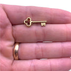 D02 Clover Head Skeleton Key Lapel Pin