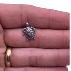 D12 Seaturtle Lapel Pin
