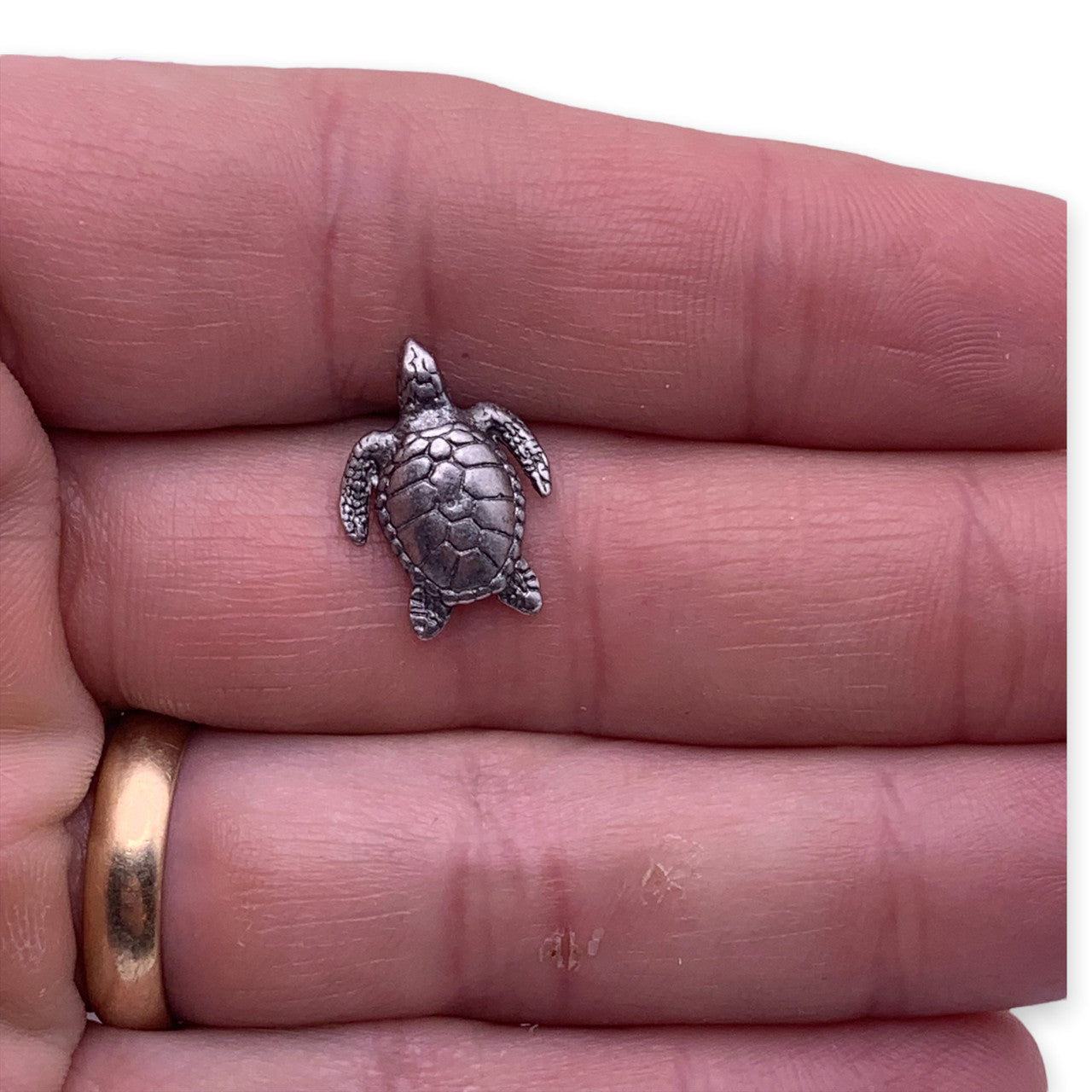 D12 Seaturtle Lapel Pin