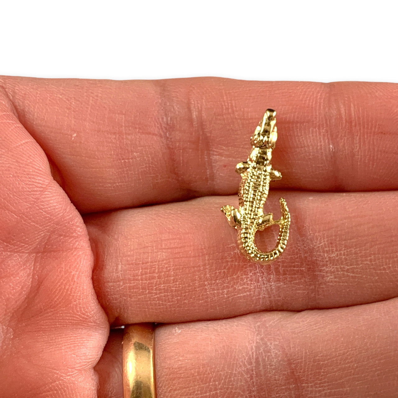 D14 Alligator Lapel Pin
