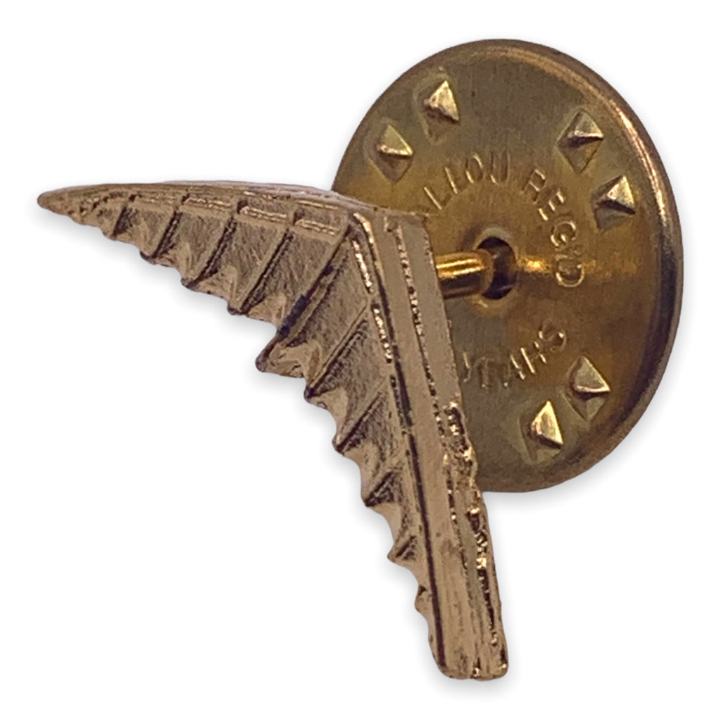 Hang Glider Lapel Pin