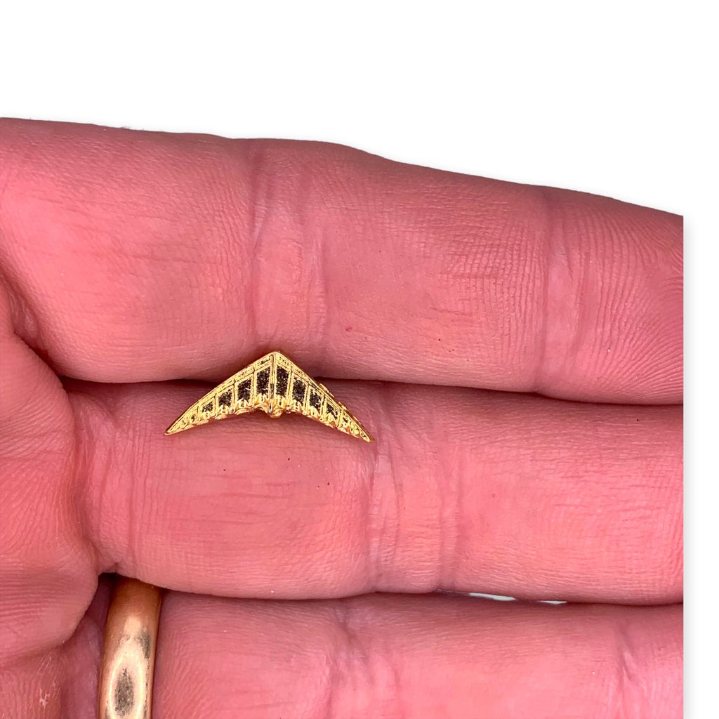 Hang Glider Lapel Pin