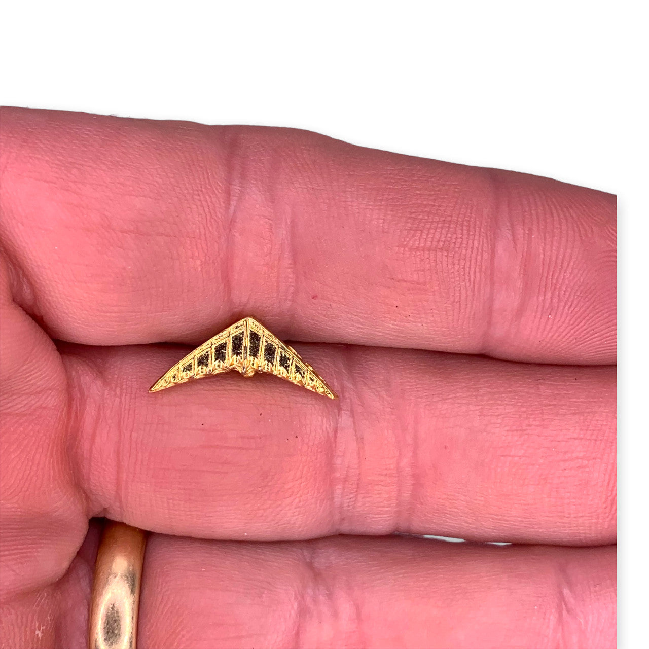 Hang Glider Lapel Pin