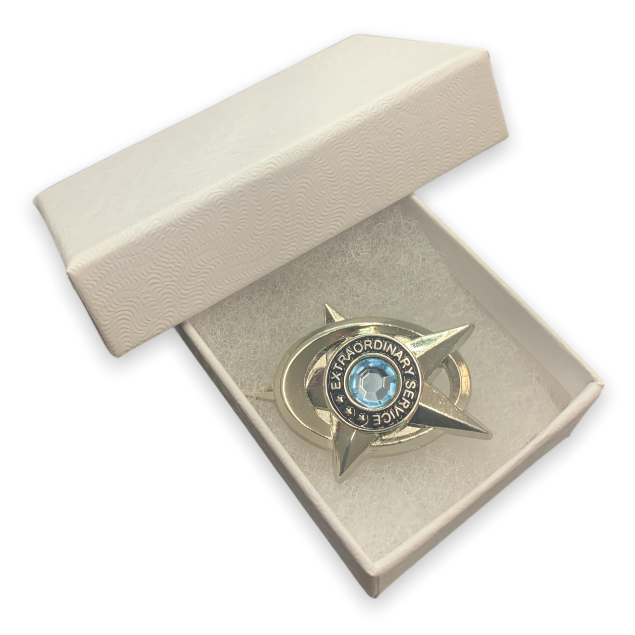 Extraordinary Service Lapel Pin