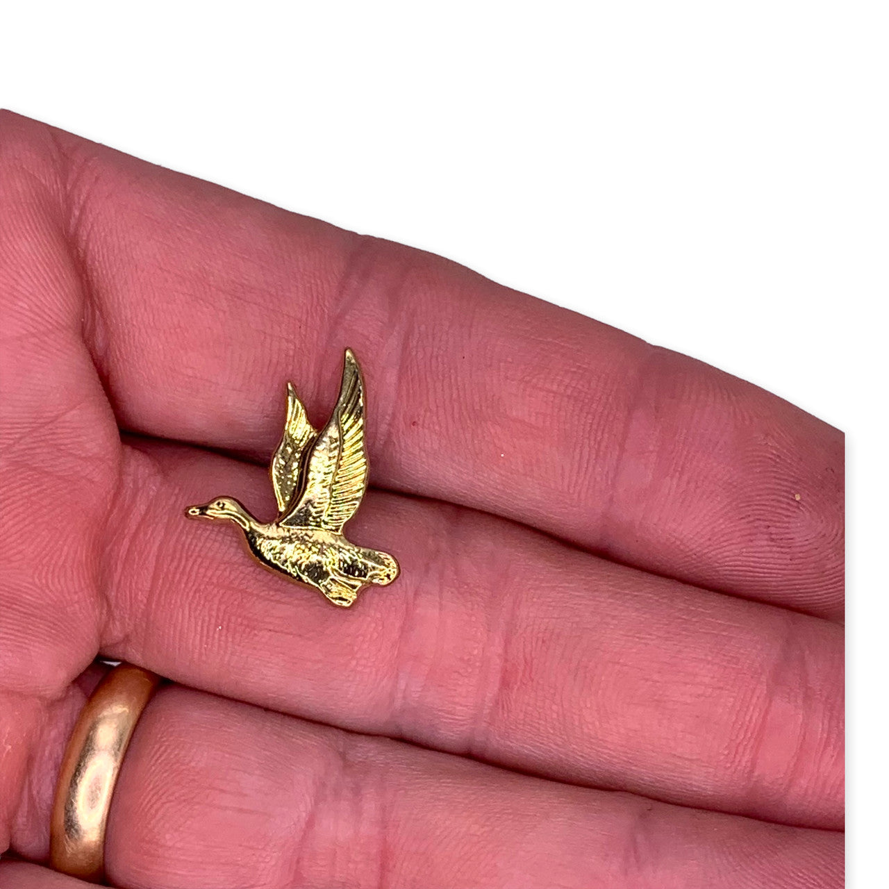 Duck 1 Lapel Pin