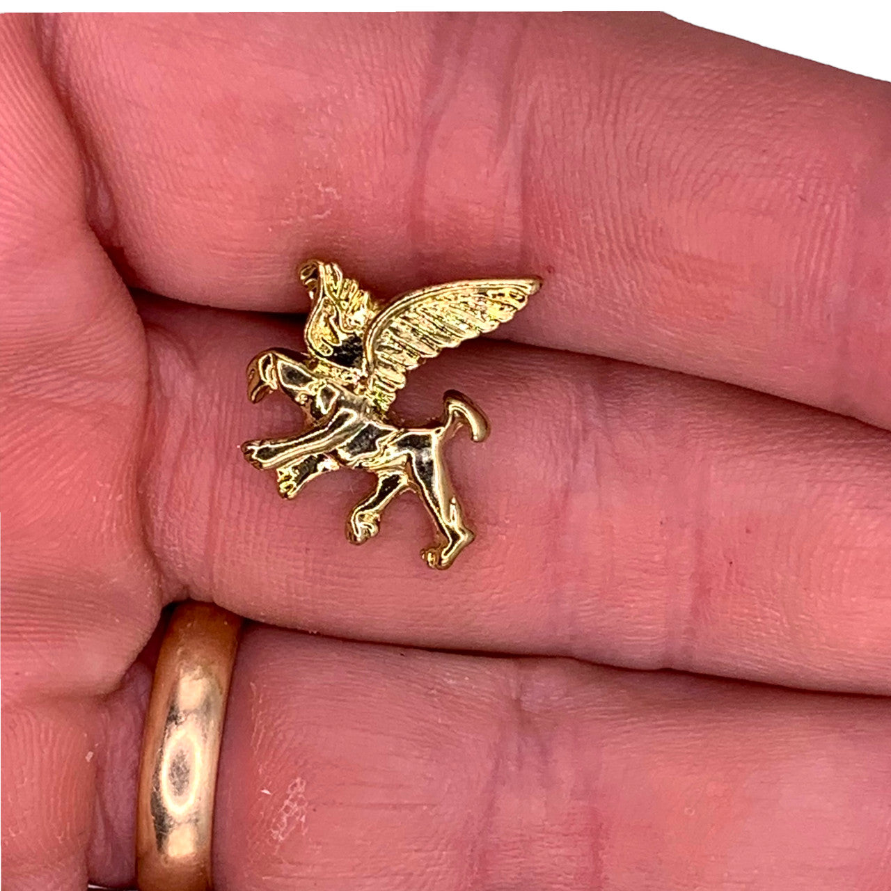 Griffin Lapel Pin