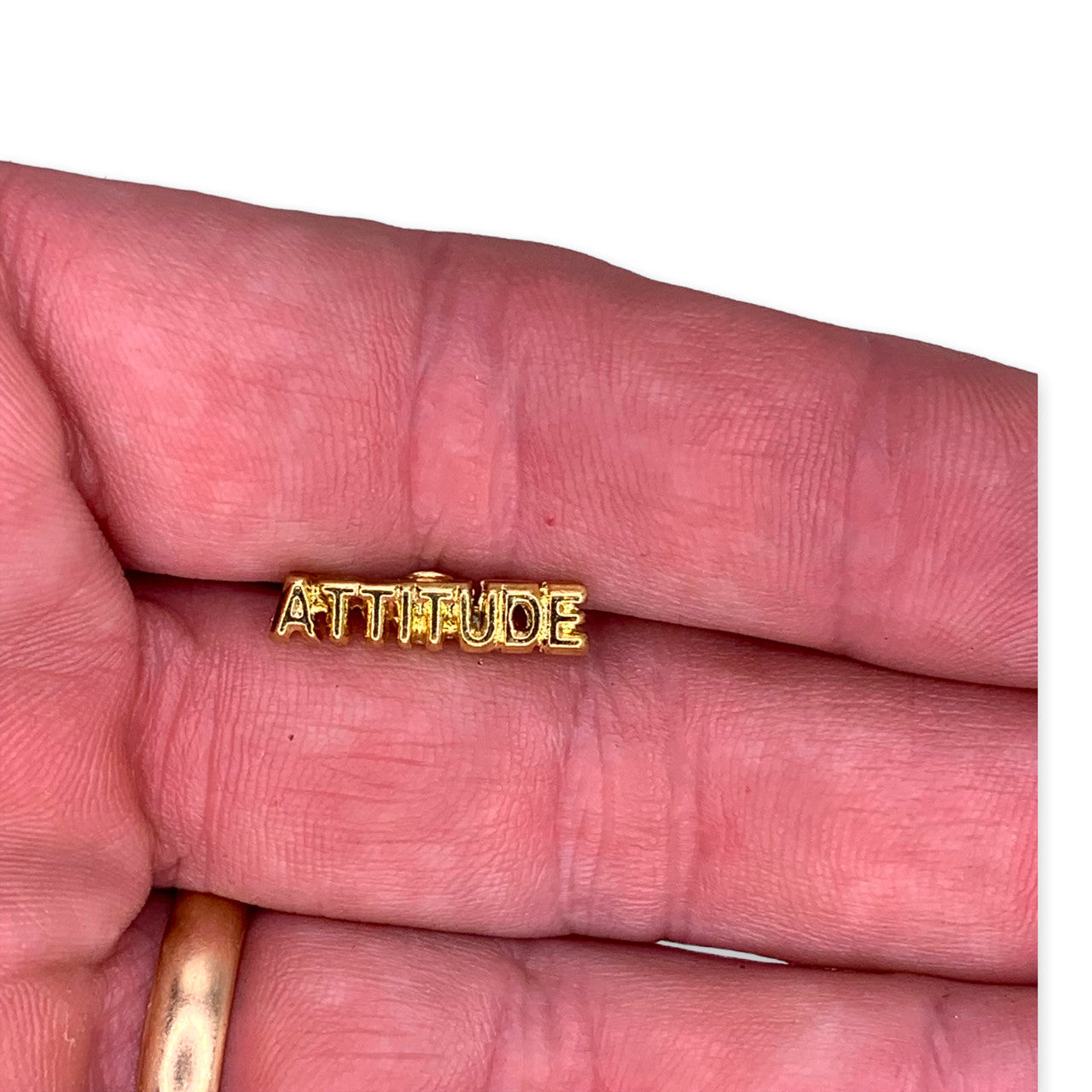 Attitude Lapel Pin