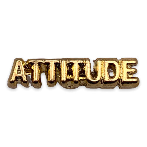 Attitude Lapel Pin