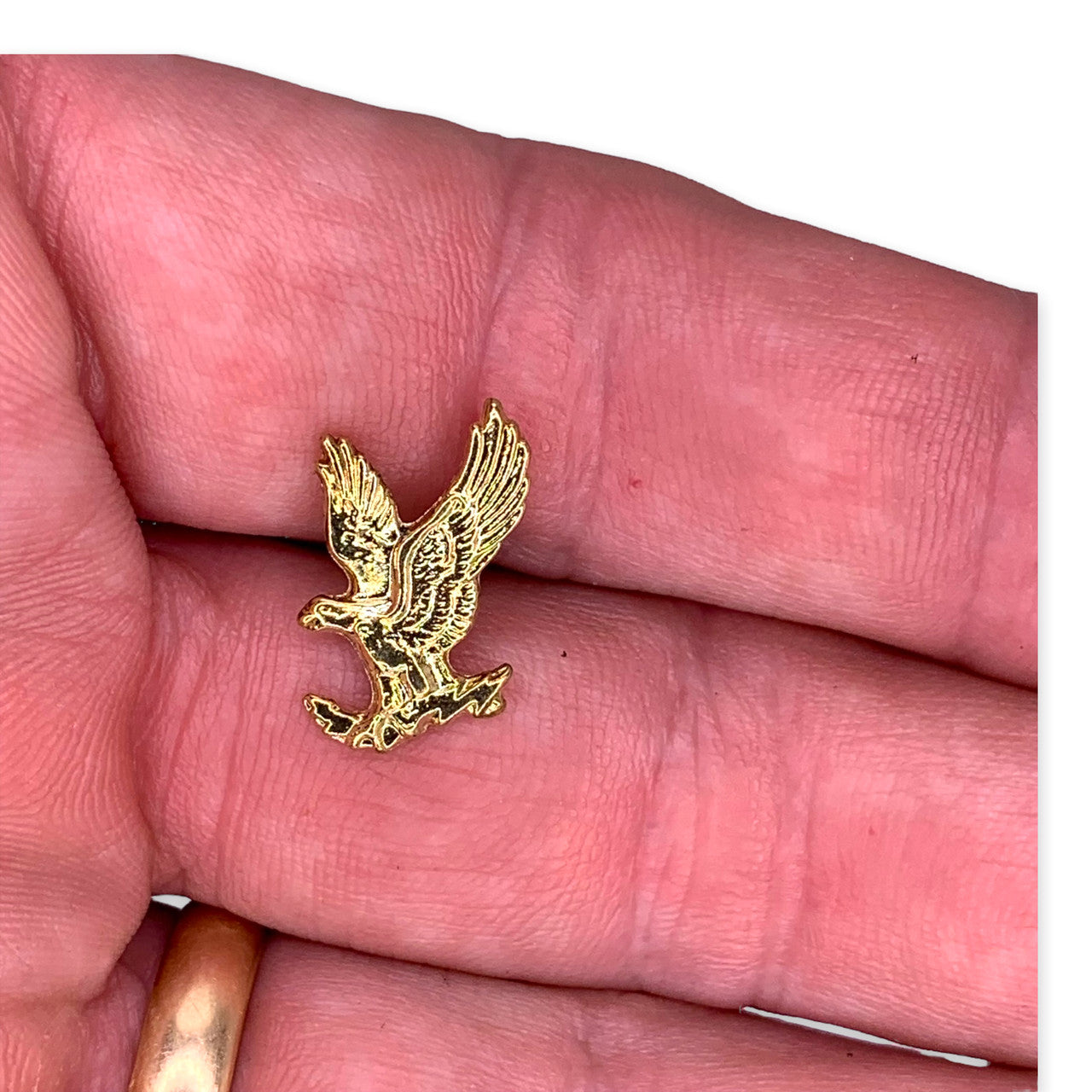 Eagle 3 Lapel Pin