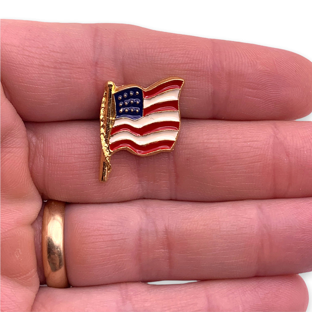 H21 Cast American Flag Pin