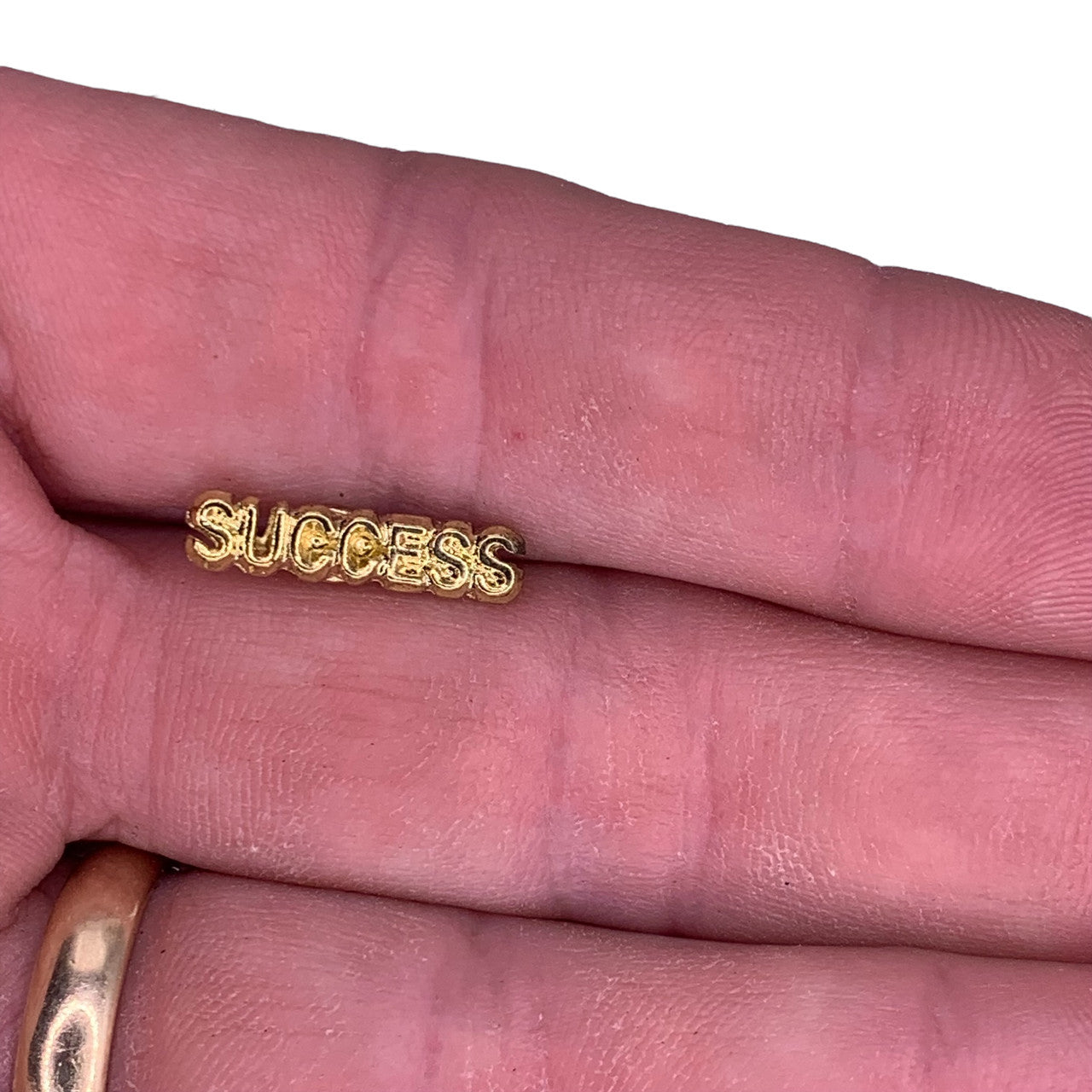 Success Lapel Pin
