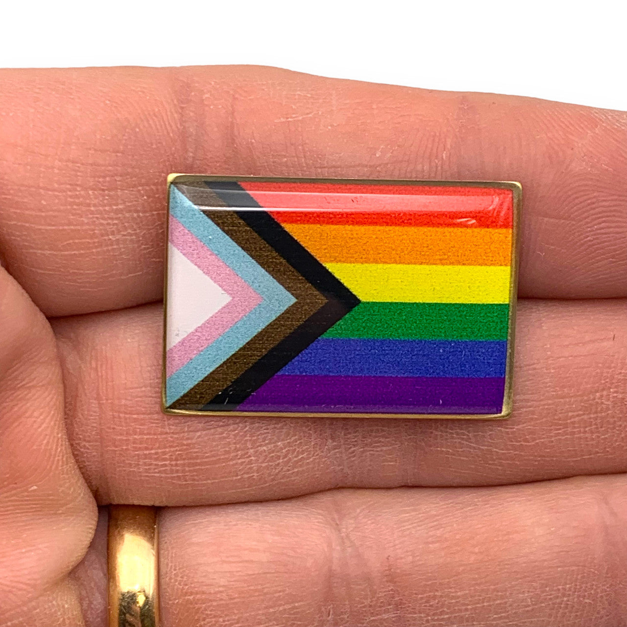 Diversity Flag Lapel Pin