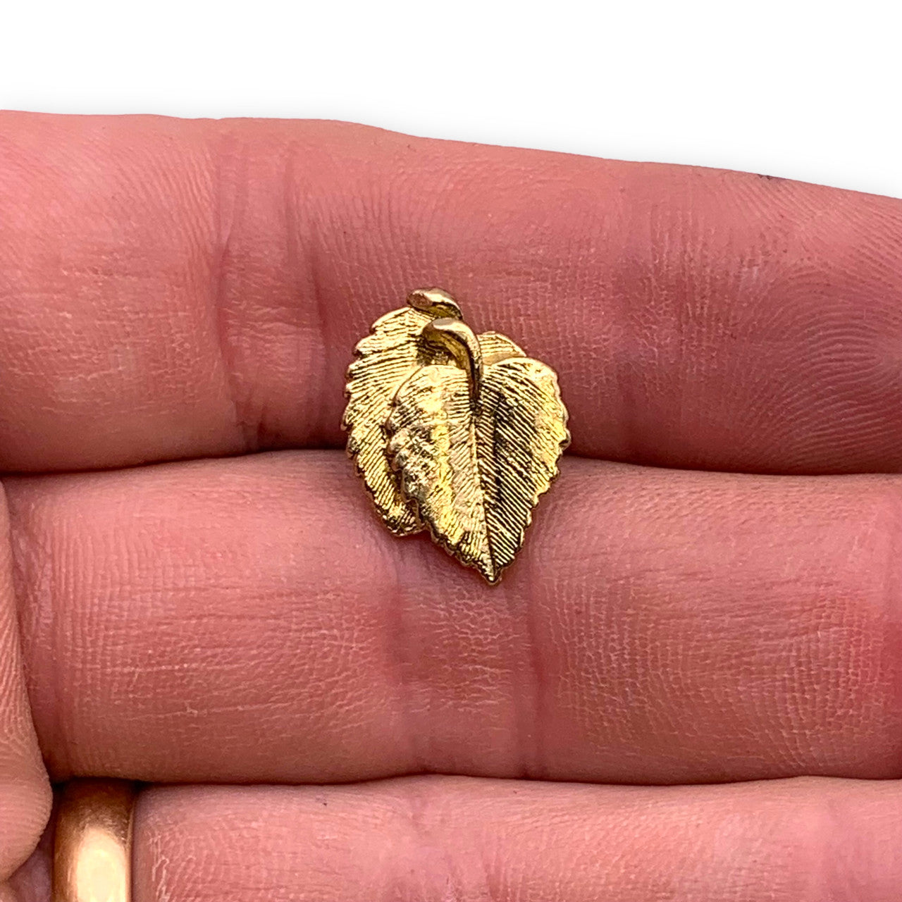 Leaves Lapel Pin