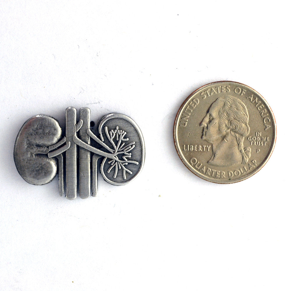 Human Kidneys Lapel Pin
