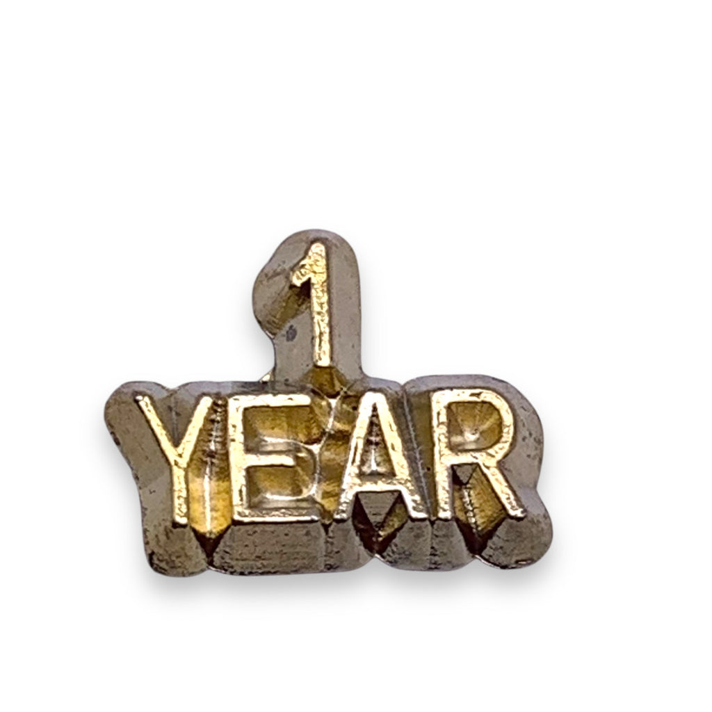 1 Year Lapel Pin