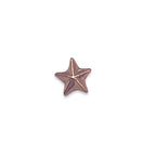 Tiny Beveled Star lapel Pin