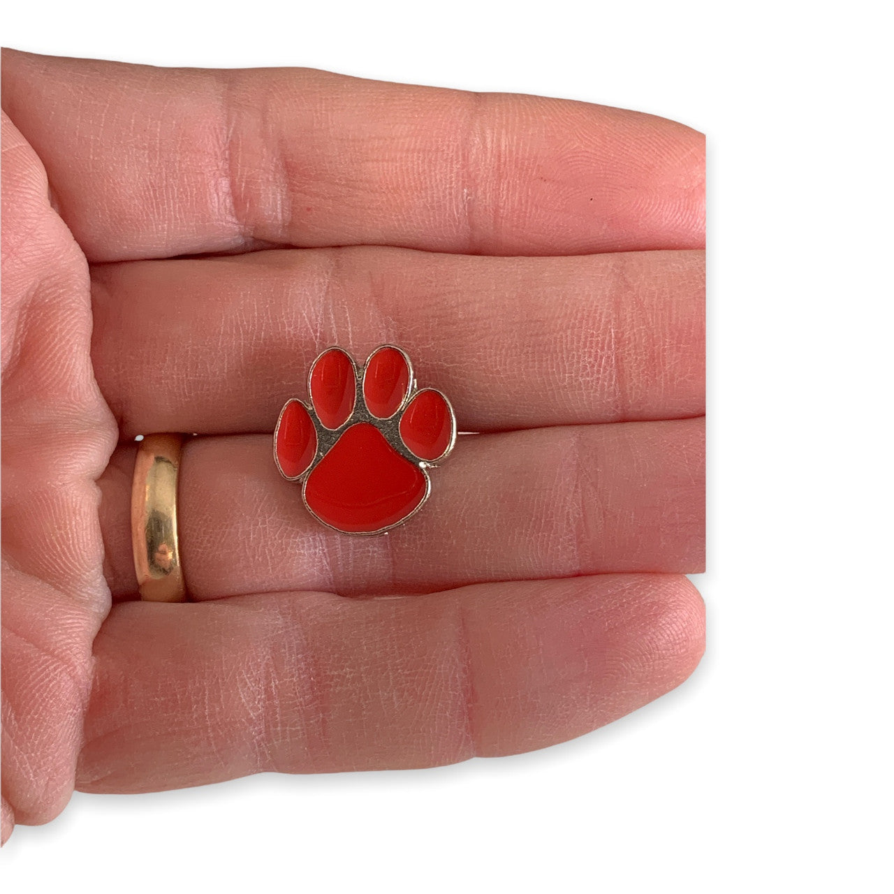 L31 Paw Print Lapel Pin