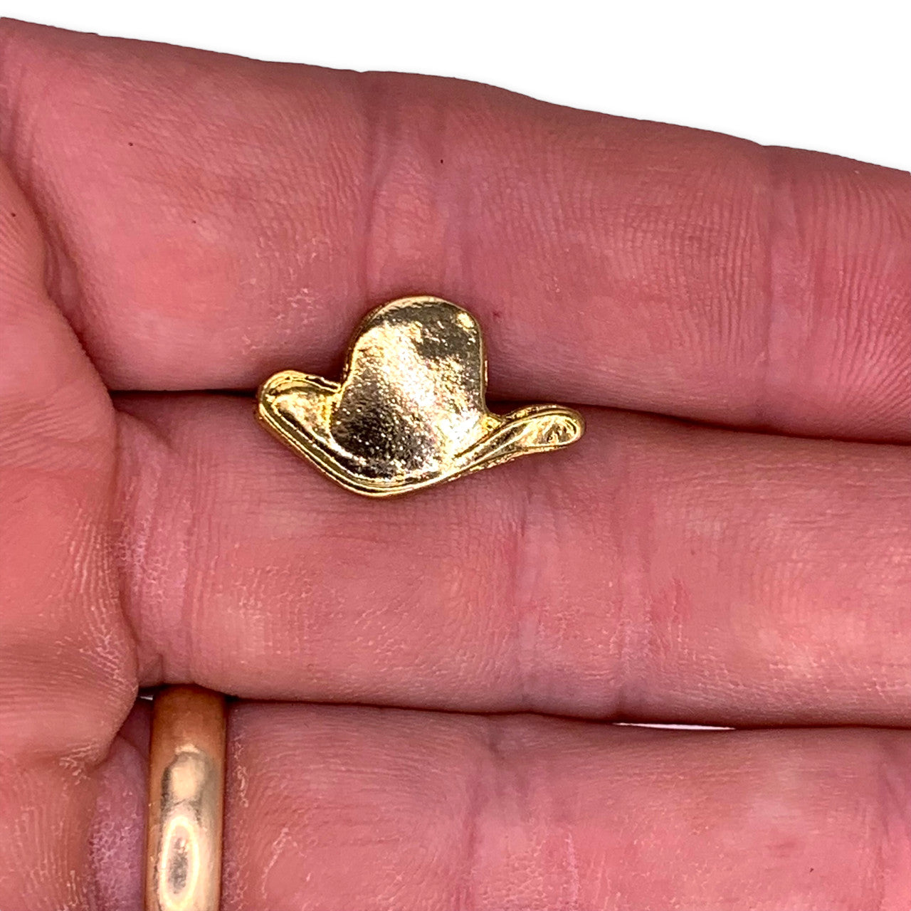 N01 Cowboy Hat Lapel Pin