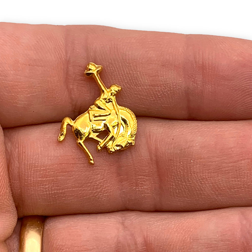 N02- Bucking Bronco Lapel Pin