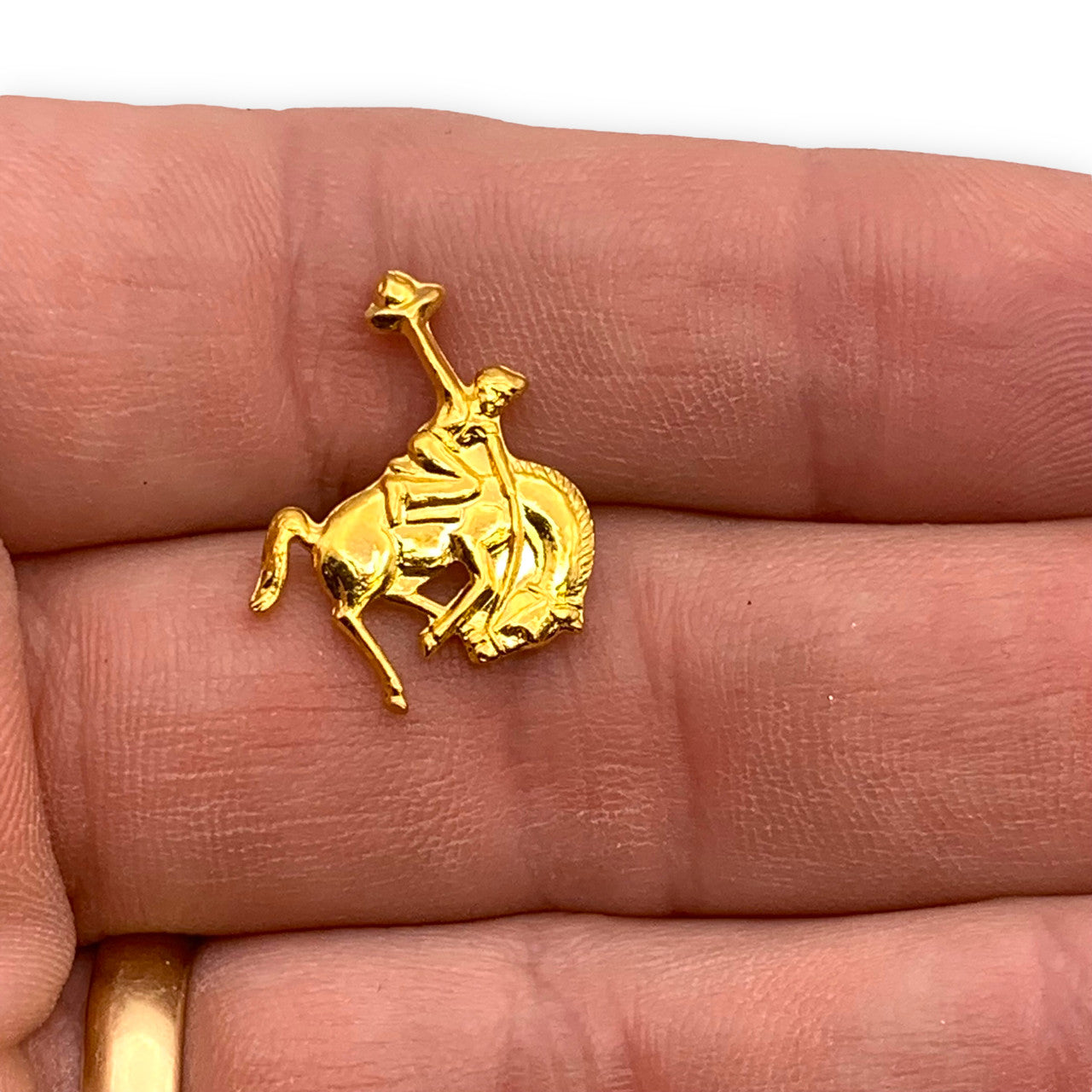 N02- Bucking Bronco Lapel Pin