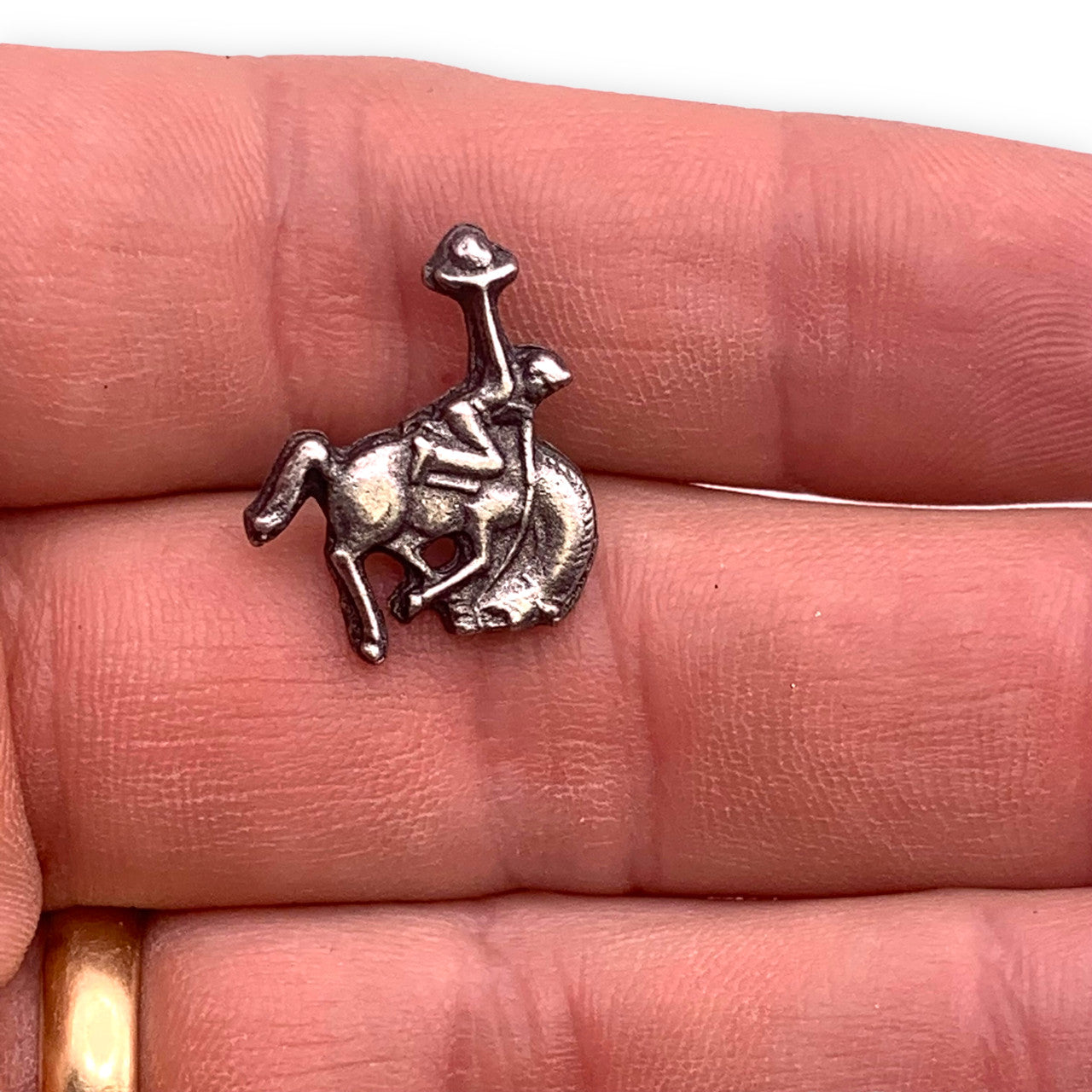 N02- Bucking Bronco Lapel Pin