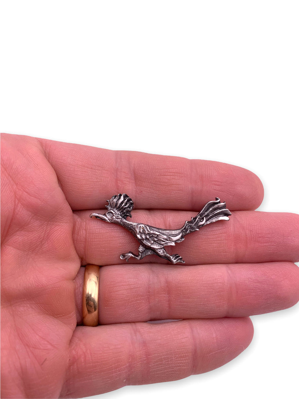 Road Runner Lapel Pin