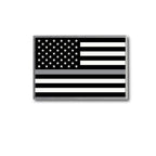 Thin Gray Line Correctional Officer Lapel Pin