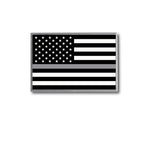 Thin Gray Line Correctional Officer Lapel Pin