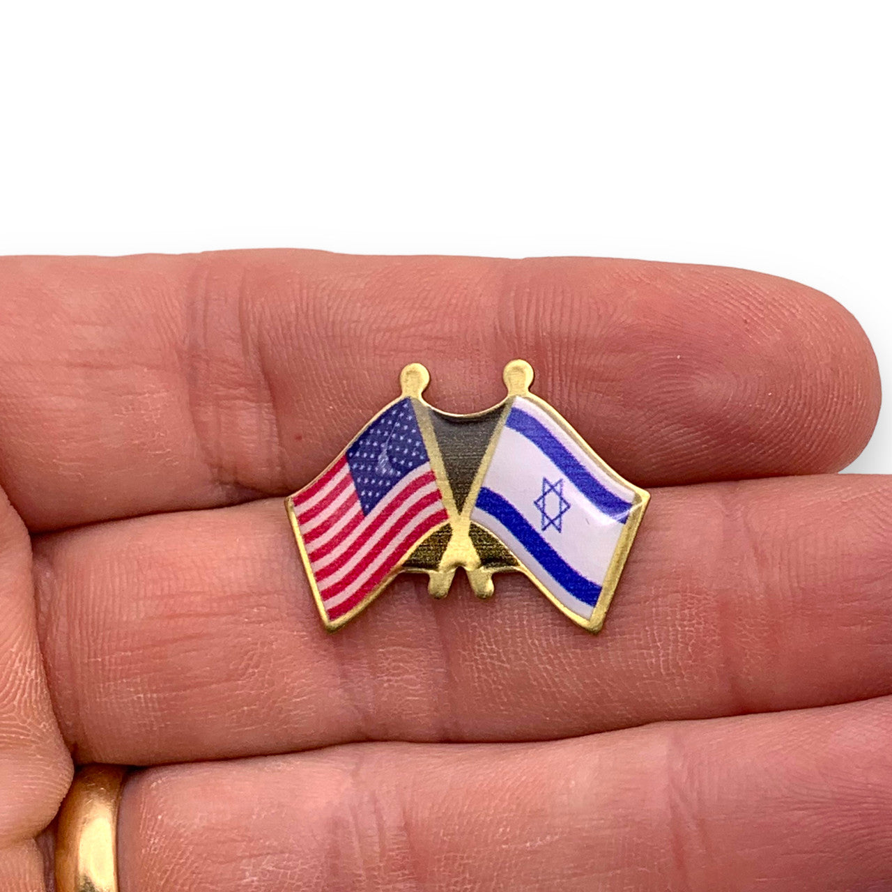 US / Israel Crossed Flags Pin