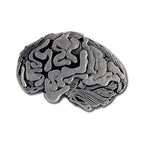 Anatomical Human Brain Lapel Pin