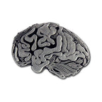 Anatomical Human Brain Lapel Pin