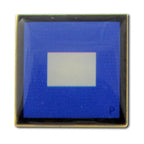 Nautical Code Flag P - Papa lapel pin