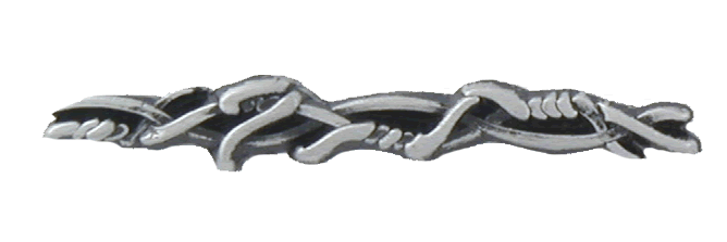 Barbed Wire Lapel Pin