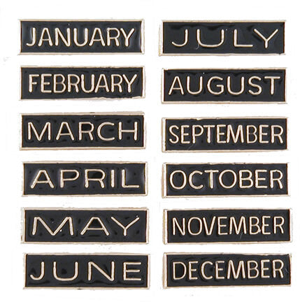 Calendar Months Lapel Pin