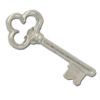 D02 Clover Head Skeleton Key Lapel Pin