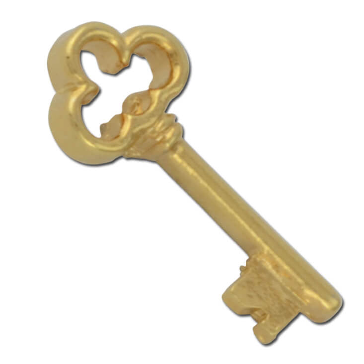 D02 Clover Head Skeleton Key Lapel Pin