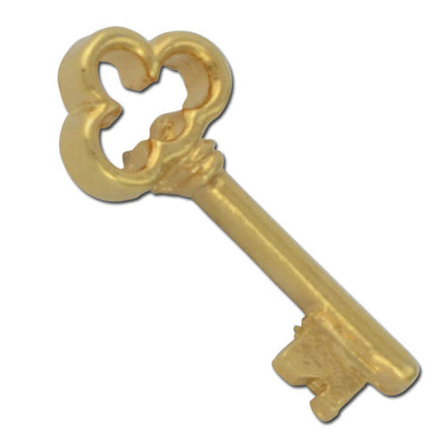 D02 Clover Head Skeleton Key Lapel Pin